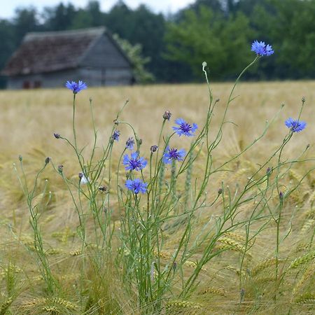 Vila Werts Hof Ferienwohnen Rauschenberg Exteriér fotografie